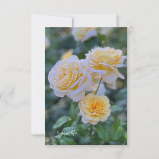 ラブリーライトイエローローズ ノートカード (正面)