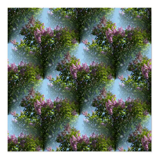 ラブリーライラック… ポスター (正面)