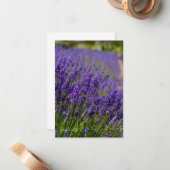 ラブリーラベンダーロー ノートカード (正面/裏面インサイチュ)