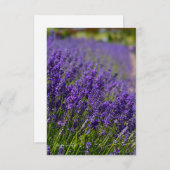 ラブリーラベンダーロー ノートカード (正面/裏面)