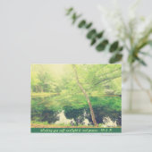 ラブリーリトルポンドラッシュグリーンツリー葉サンライト ポストカード (スタンド正面)