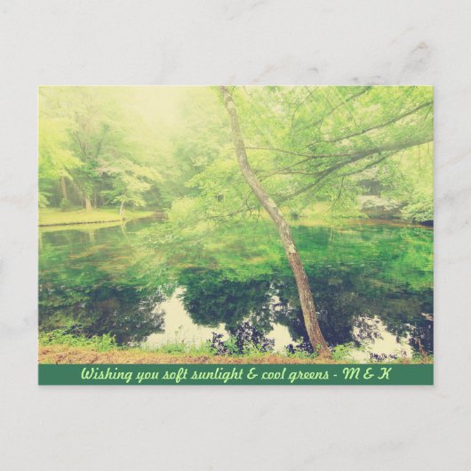 ラブリーリトルポンドラッシュグリーンツリー葉サンライト ポストカード (正面)