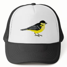 ラブリーレッサーゴールドフィンチ