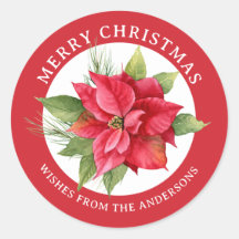 ラブリーレッドポインセチア