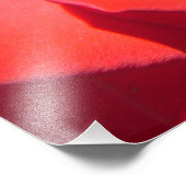 ラブリーレッドローズフラワーフォトアート作品愛結婚 フォトプリント            (角)