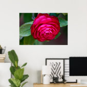 ラブリーレッド鮮やかカメリアポスター ポスター (ホームオフィス)