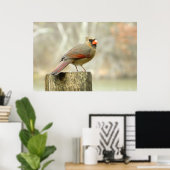 ラブリーレディ（鳥）ショウジョウコウカンチョウ長方形ポスター ポスター (ホームオフィス)