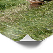 ラブリーロングウリラックスェーンカウズイングラスポスター ポスター (コーナー)