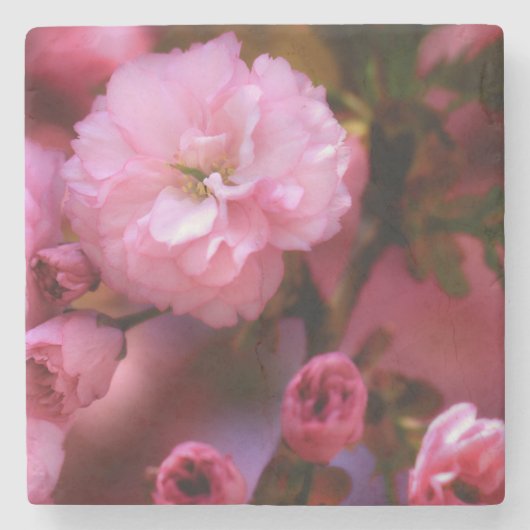 ラブリー春ピンクさくらんぼの花 ストーンコースター (正面)