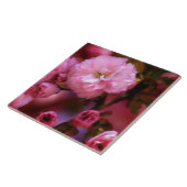 ラブリー春ピンクさくらんぼの花 タイル (側面)