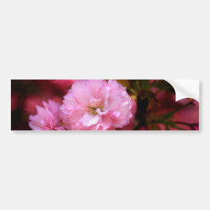 ラブリー春ピンクさくらんぼの花 バンパーステッカー