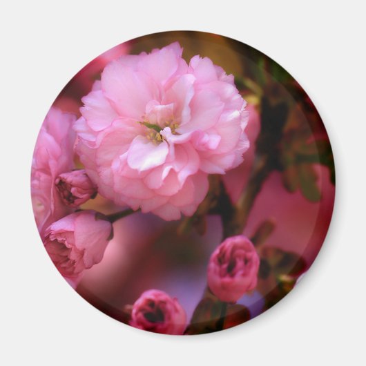 ラブリー春ピンクさくらんぼの花 マグネット (正面)