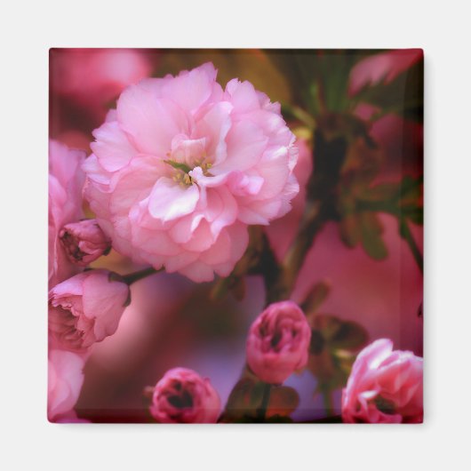 ラブリー春ピンクさくらんぼの花 マグネット (正面)