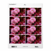 ラブリー春ピンクさくらんぼの花 ラベル (フルシート)