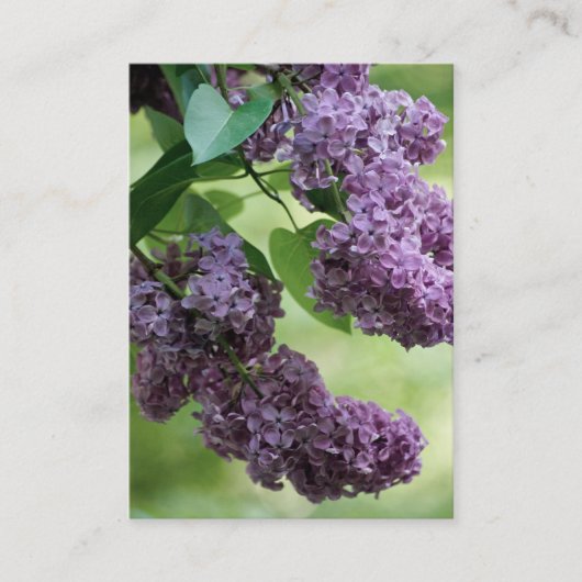 ラブリー春ミニプリント 名刺 (正面)