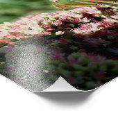 ラブリー祈ズのマンティス昆虫10x8自然 フォトプリント (角)