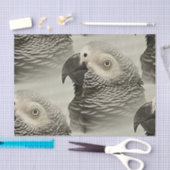 ラブリー·コンゴ·アフリカ·グレー·オロ 薄葉紙 (クラフト)