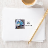 ラブル差出人住所 ラベル (インサイチュ)