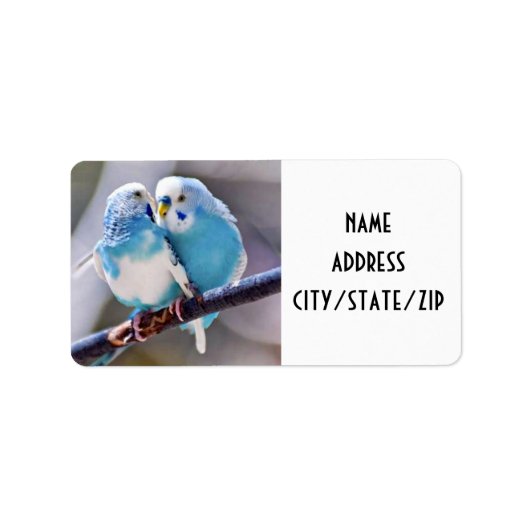 ラブル差出人住所 ラベル (正面)