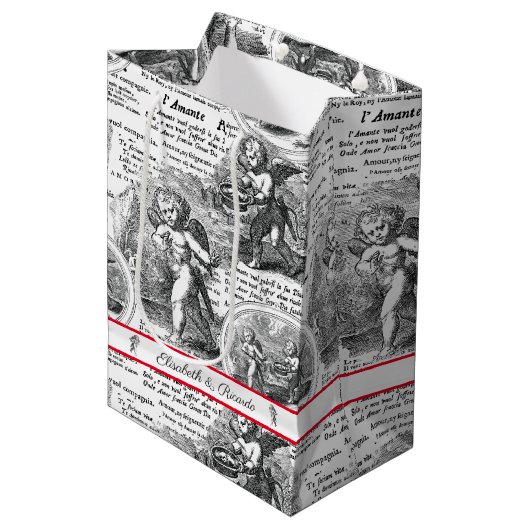 ラブロマンチックなヴィンテージフランスのトイル ミディアムペーパーバッグ (正面アングル)