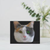 『ラブ・アット・ファースト・サイトハガキ』 ポストカード (スタンド正面)