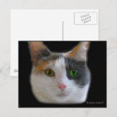 『ラブ・アット・ファースト・サイトハガキ』 ポストカード (正面/裏面)