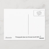 『ラブ・アット・ファースト・サイトハガキ』 ポストカード (裏面)