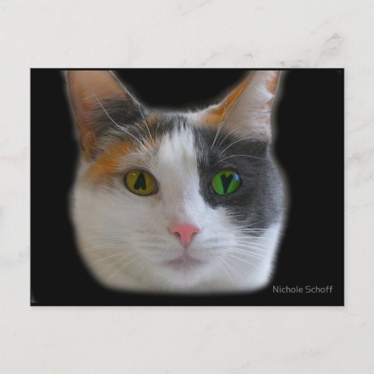 『ラブ・アット・ファースト・サイトハガキ』 ポストカード (正面)