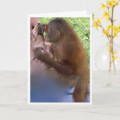 ラブ・ア・リフレクション・アット・アニージ・誕生日 カード (黄色い花)