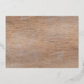 ラブ・ジョイ・アンド・ラスティングハグス ウッドランドアニマル アーチフォト 箔シーズンカード (裏面)