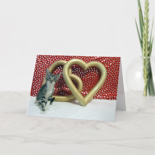 ラブ タビサ グリーティング カード (正面)