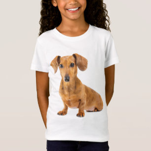 『ラブ·ダックスフンド·ワンピー·ドッグ』Tシャツ Tシャツ
