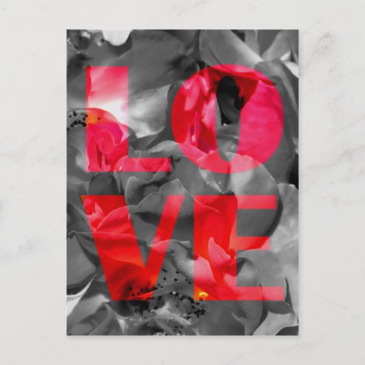 ラブ・ローズ・ポストカード ポストカード (正面)