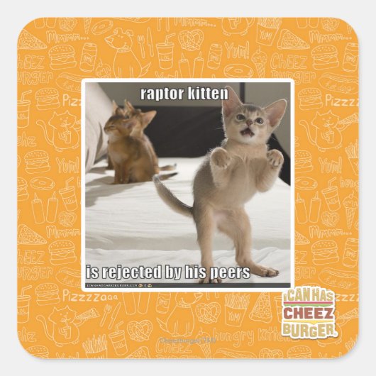 ラプターキットン スクエアシール (正面)