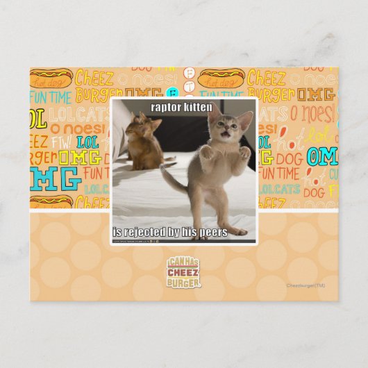 ラプターキットン ポストカード (正面)