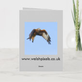 ラプタークリスマスカード シーズンカード (裏面)