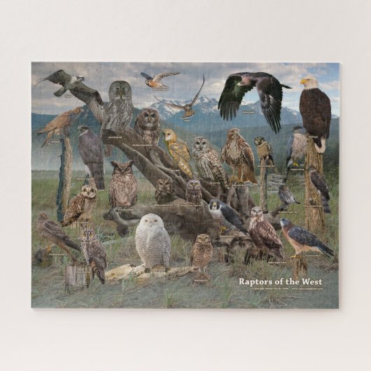 ラプターズオブザウエストパズル ジグソーパズル (横)