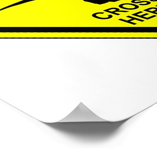 ラプターズ – ポスター (角)