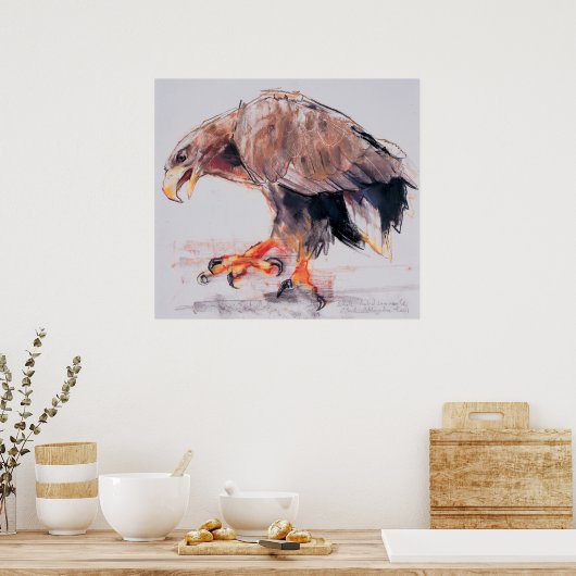 ラプター2001 ポスター (キッチン)