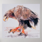 ラプター2001 ポスター (正面)