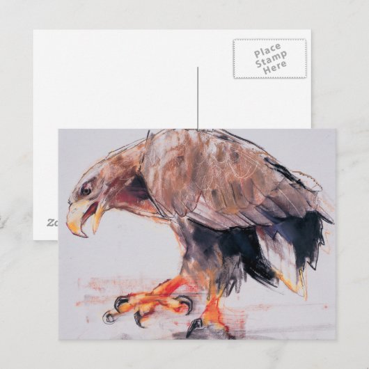 ラプター2001 ポストカード (正面/裏面)