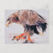 ラプター2001 ポストカード (正面)