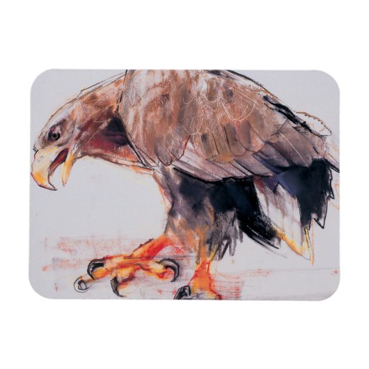 ラプター2001 マグネット (横)