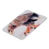 ラプター2001 マグネット (左側)