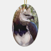 「ラプター」 セラミックオーナメント (左)