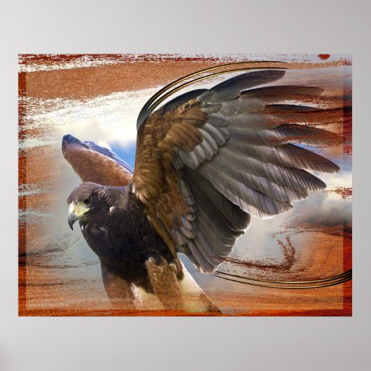 ラプター ポスター (正面)