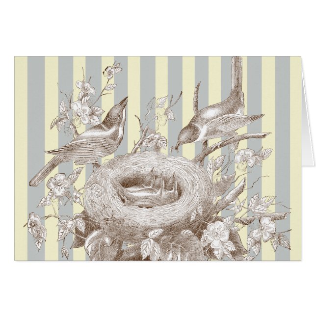 ラプチファミリーオンブルーとクリームの背景 (正面横)