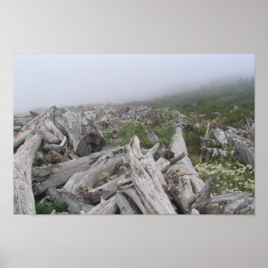 ラプッシュ，太平洋岸 – WA ポスター (正面)