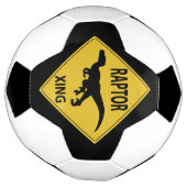 ラプトル・シン サッカーボール (回転)