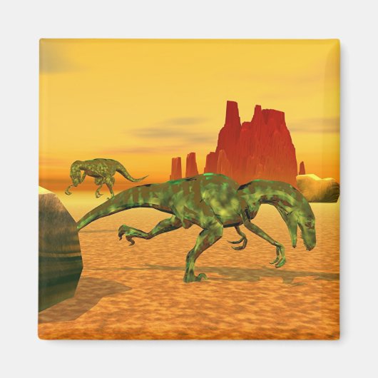 ラプトル マグネット (正面)